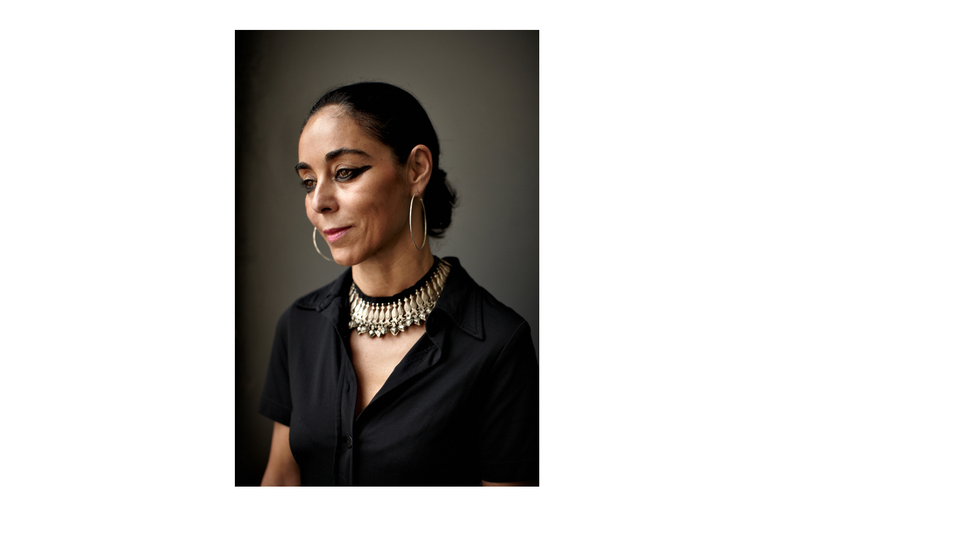 shirin neshat, artist, new york, 2012